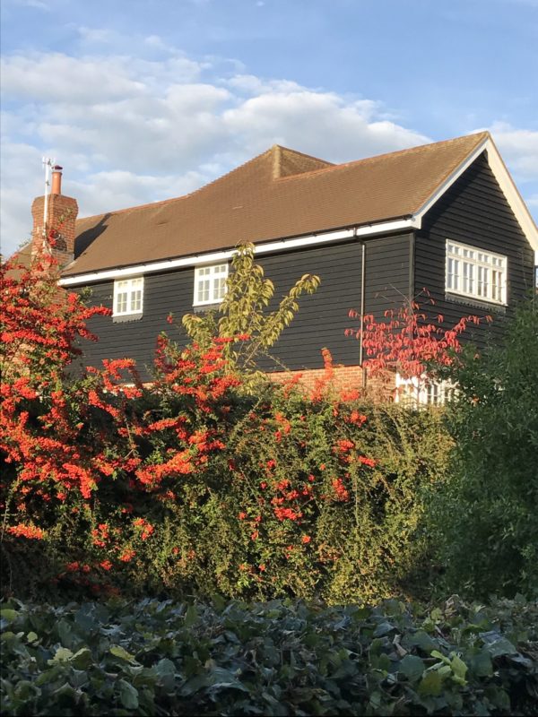 Premium black feather edge cladding on house