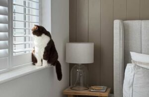 Cat on a windowsill beside a bedroom wall with vertical panelling