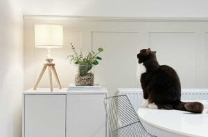 Cat with wall panelling